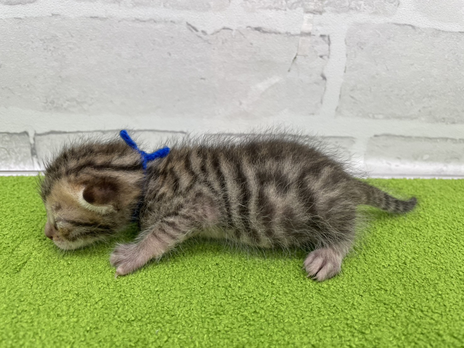 赤ちゃん写真1-2