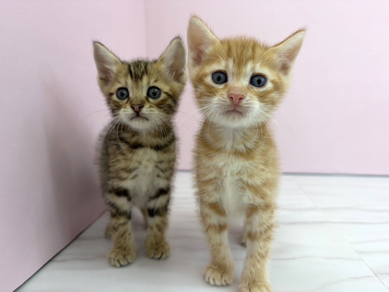 赤ちゃん写真2-3