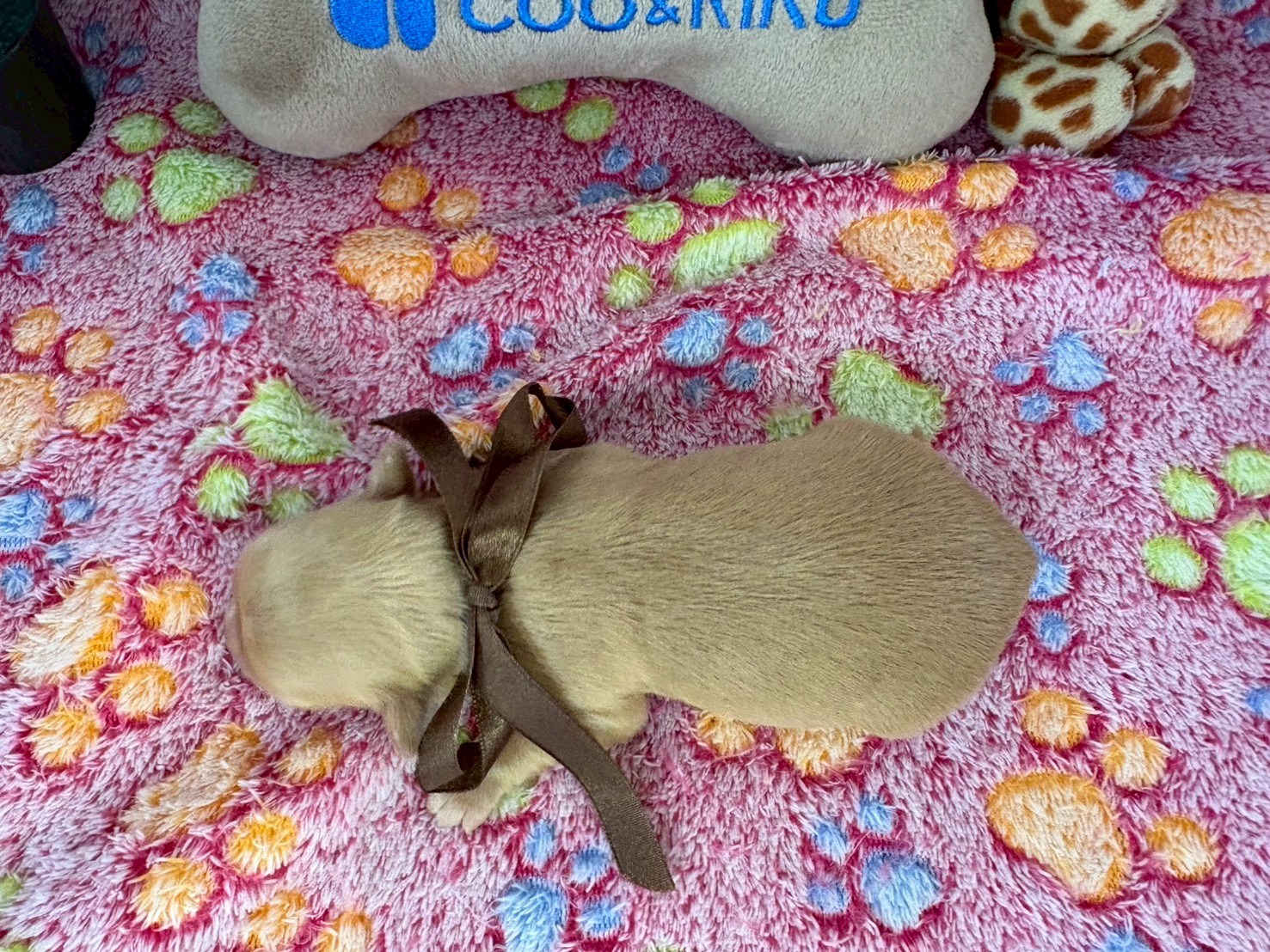 赤ちゃん写真1-3
