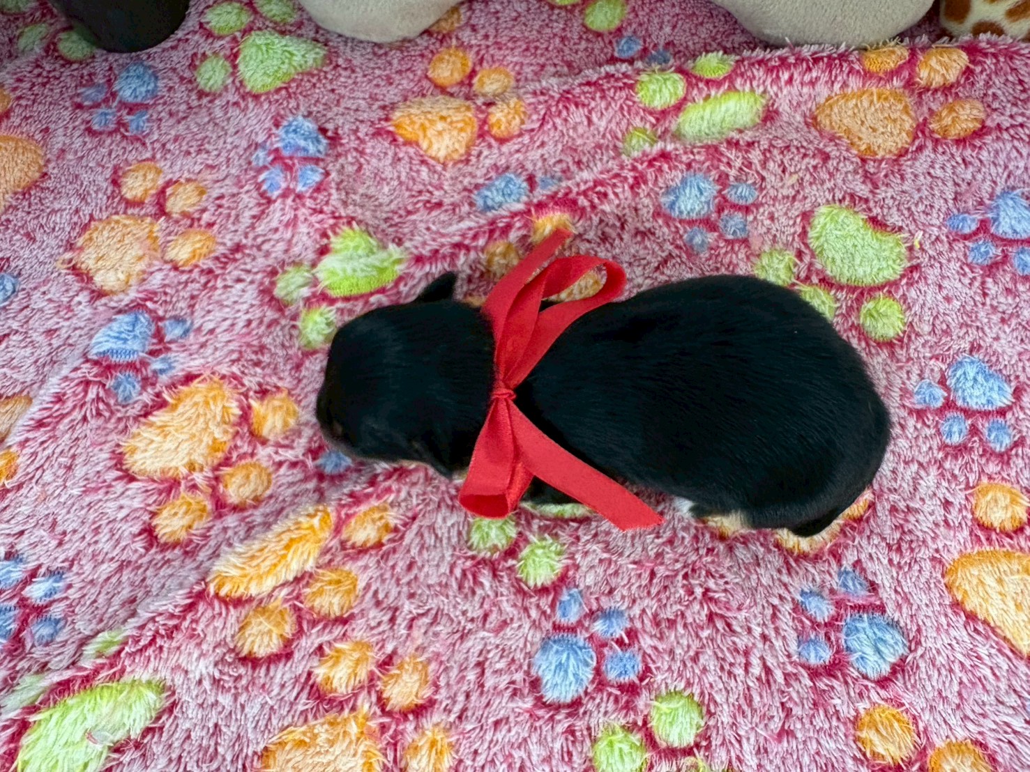 赤ちゃん写真1-3