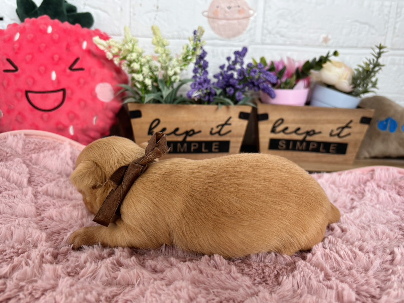 赤ちゃん写真2-2