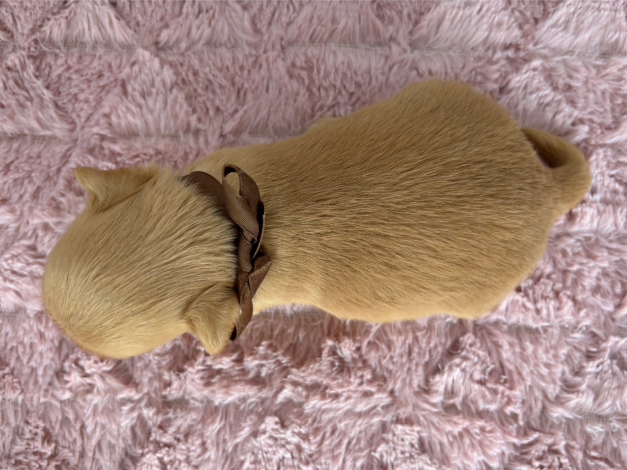 赤ちゃん写真2-3