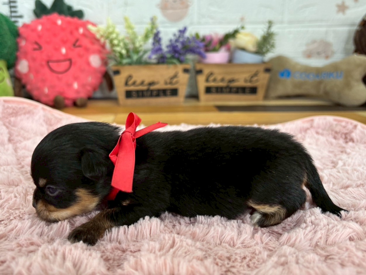 赤ちゃん写真2-2