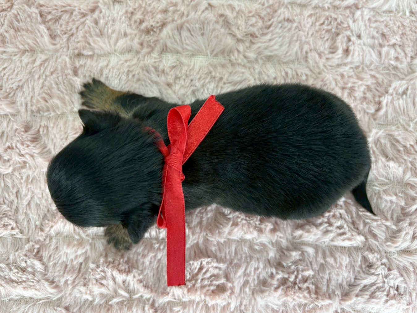 赤ちゃん写真2-3