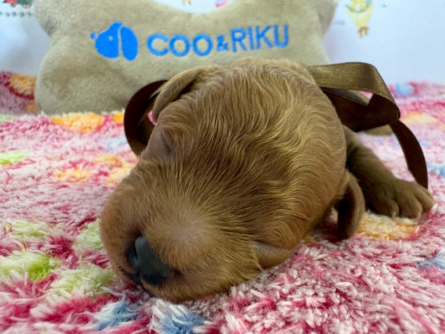 赤ちゃん写真1-1