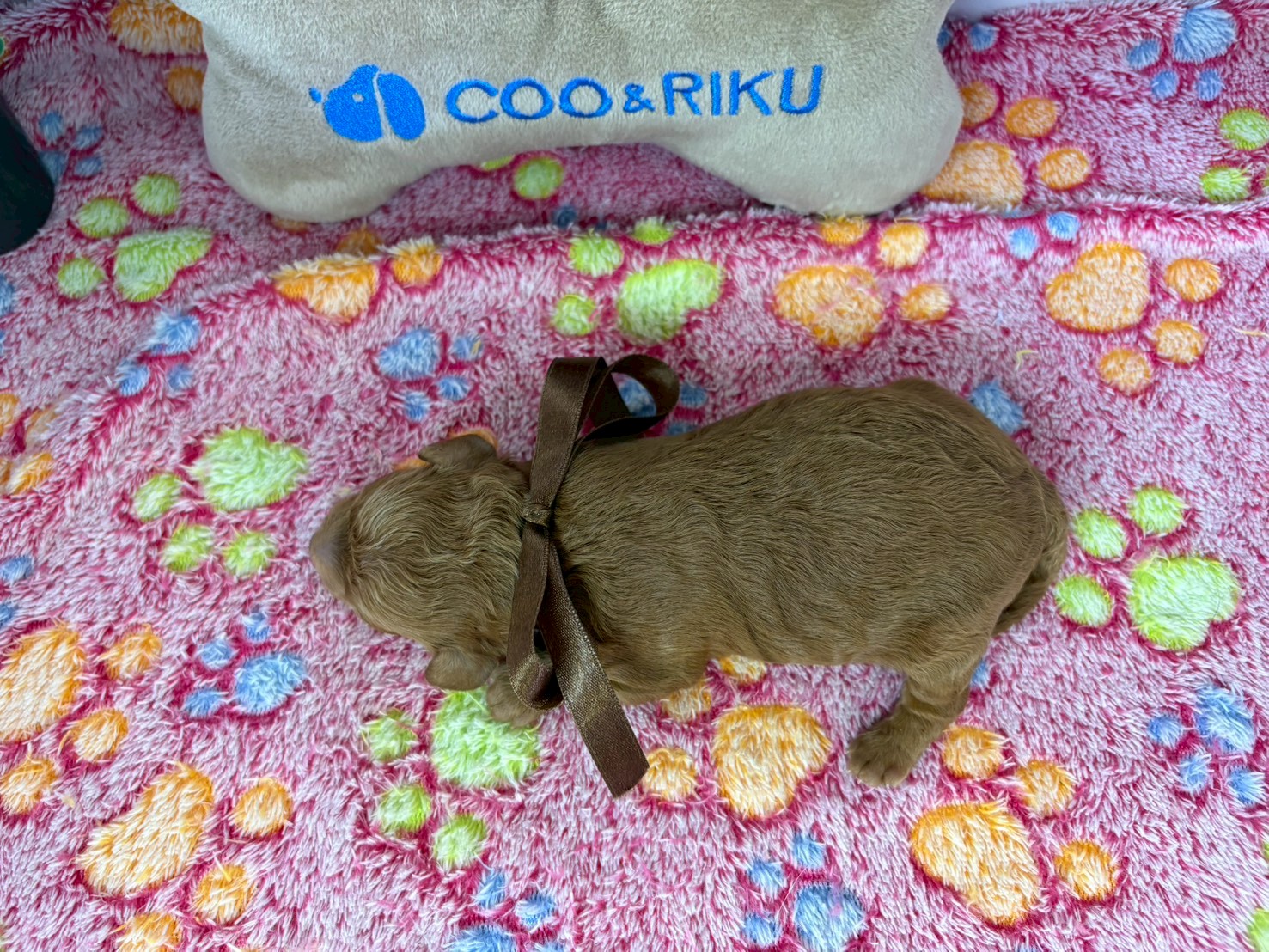 赤ちゃん写真1-3