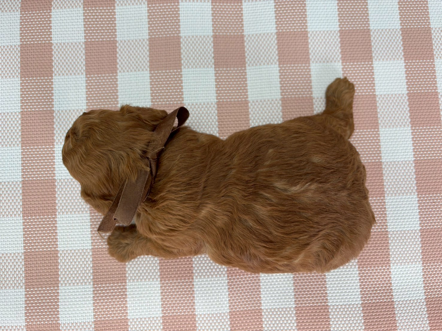 赤ちゃん写真2-3