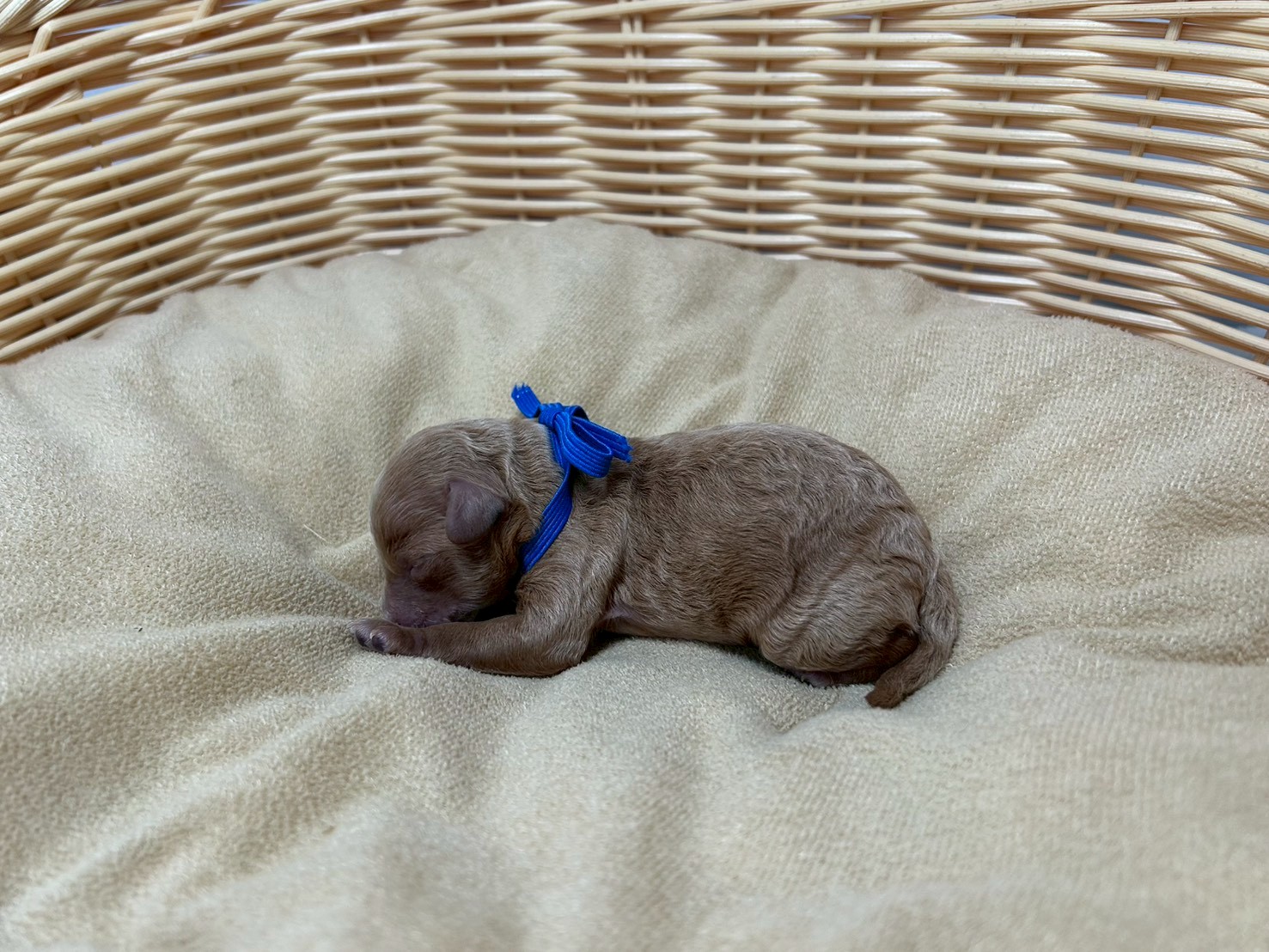 赤ちゃん写真1-2