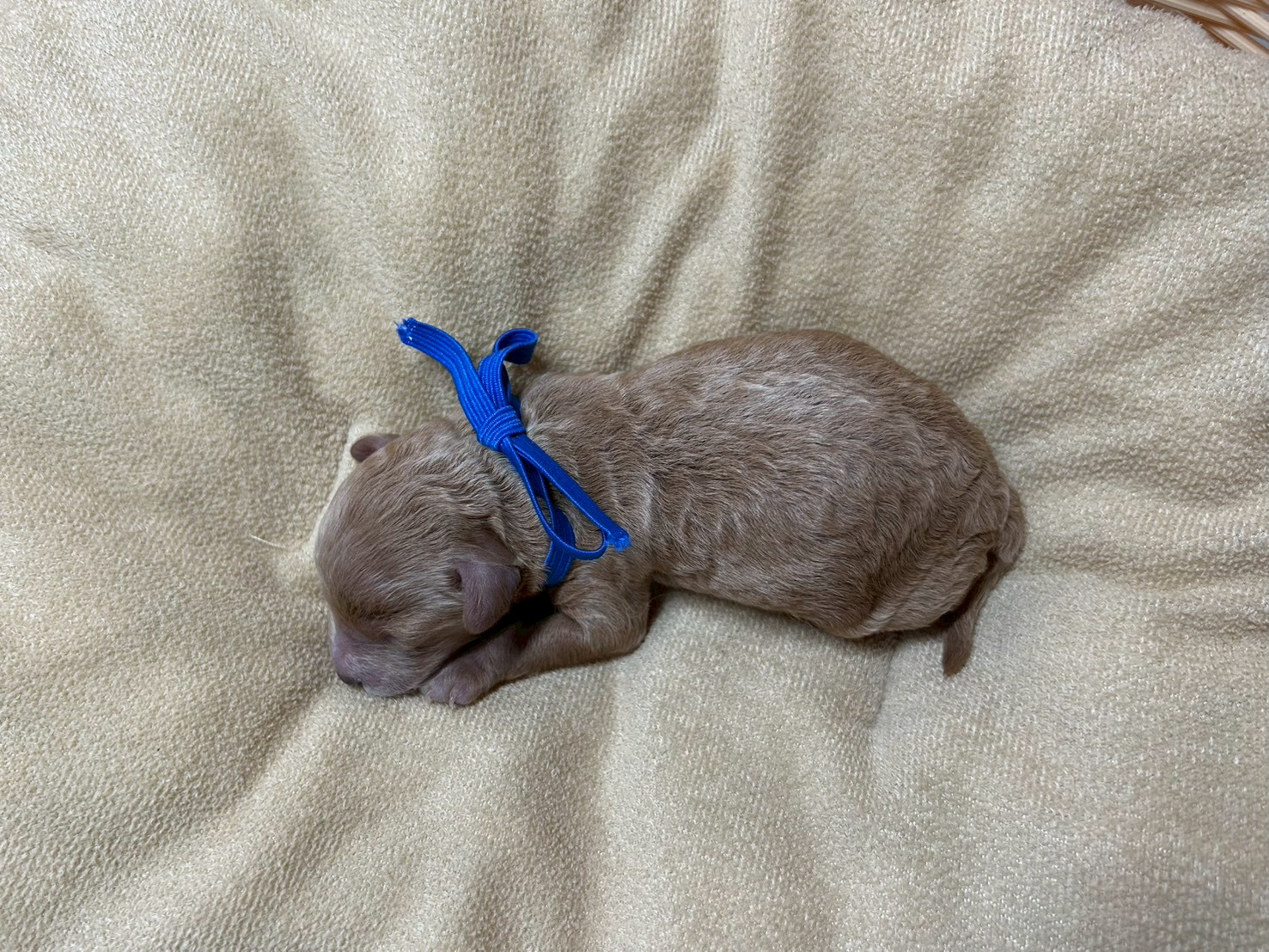 赤ちゃん写真1-3
