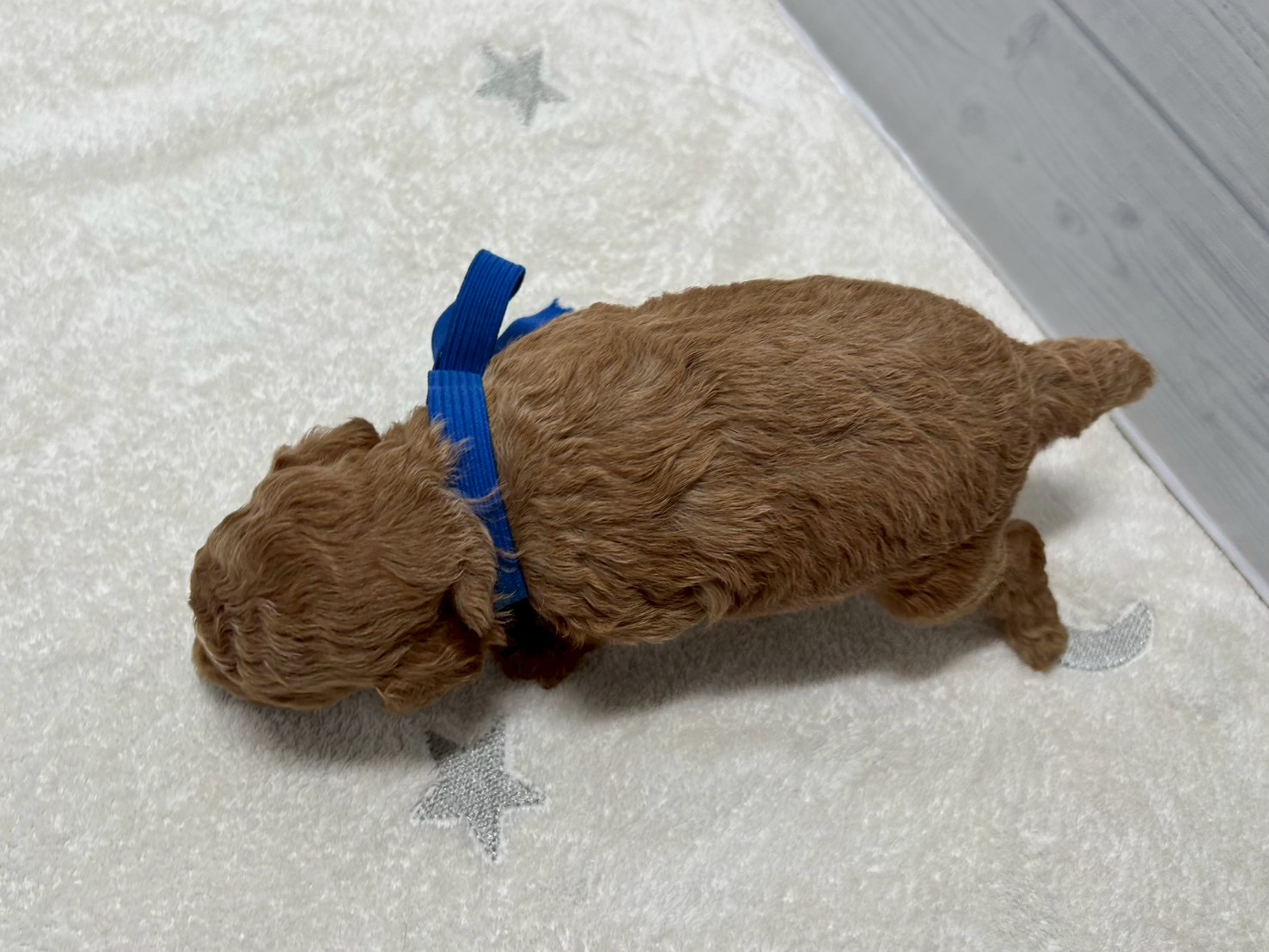赤ちゃん写真2-3