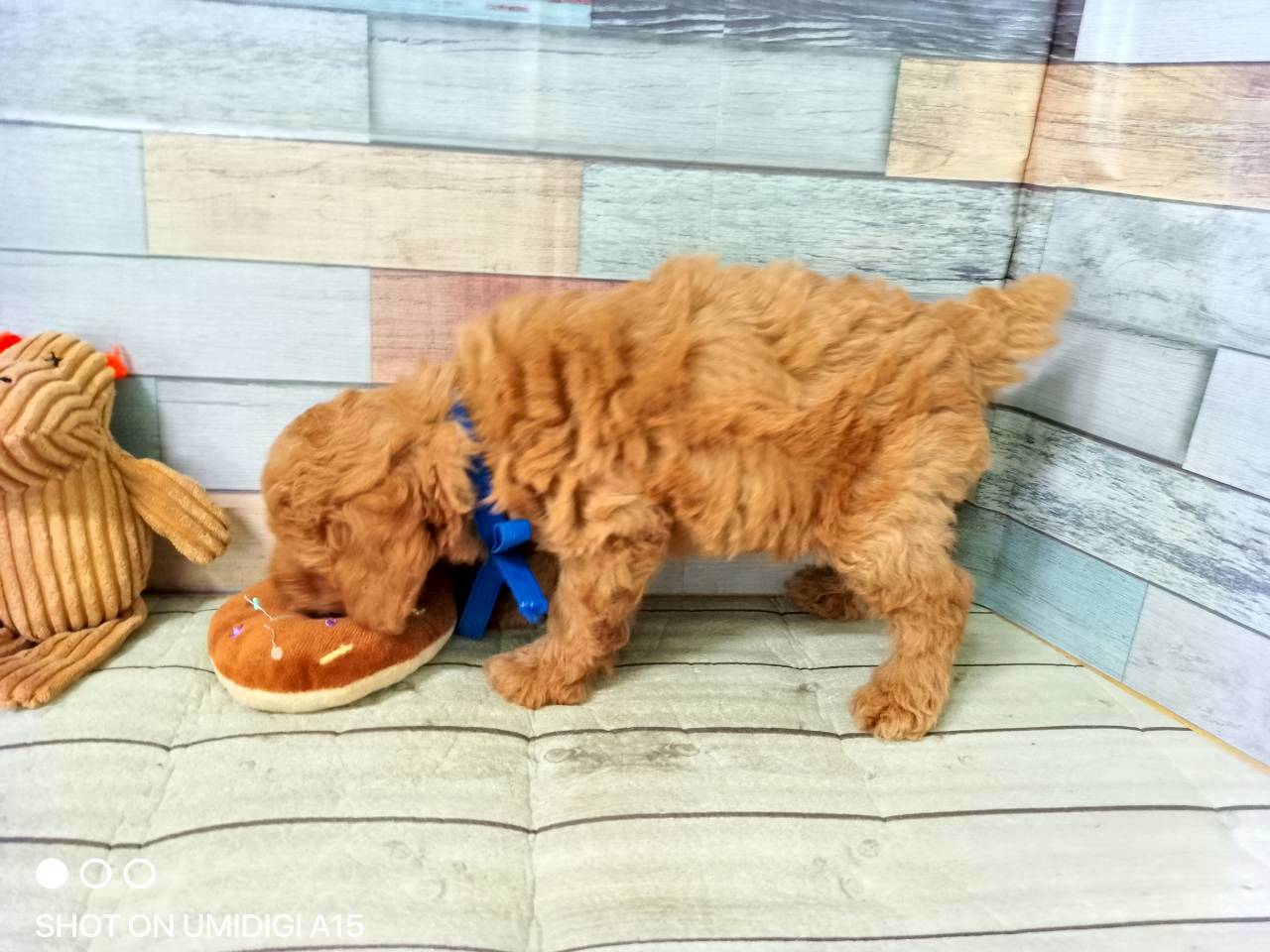 赤ちゃん写真3-2