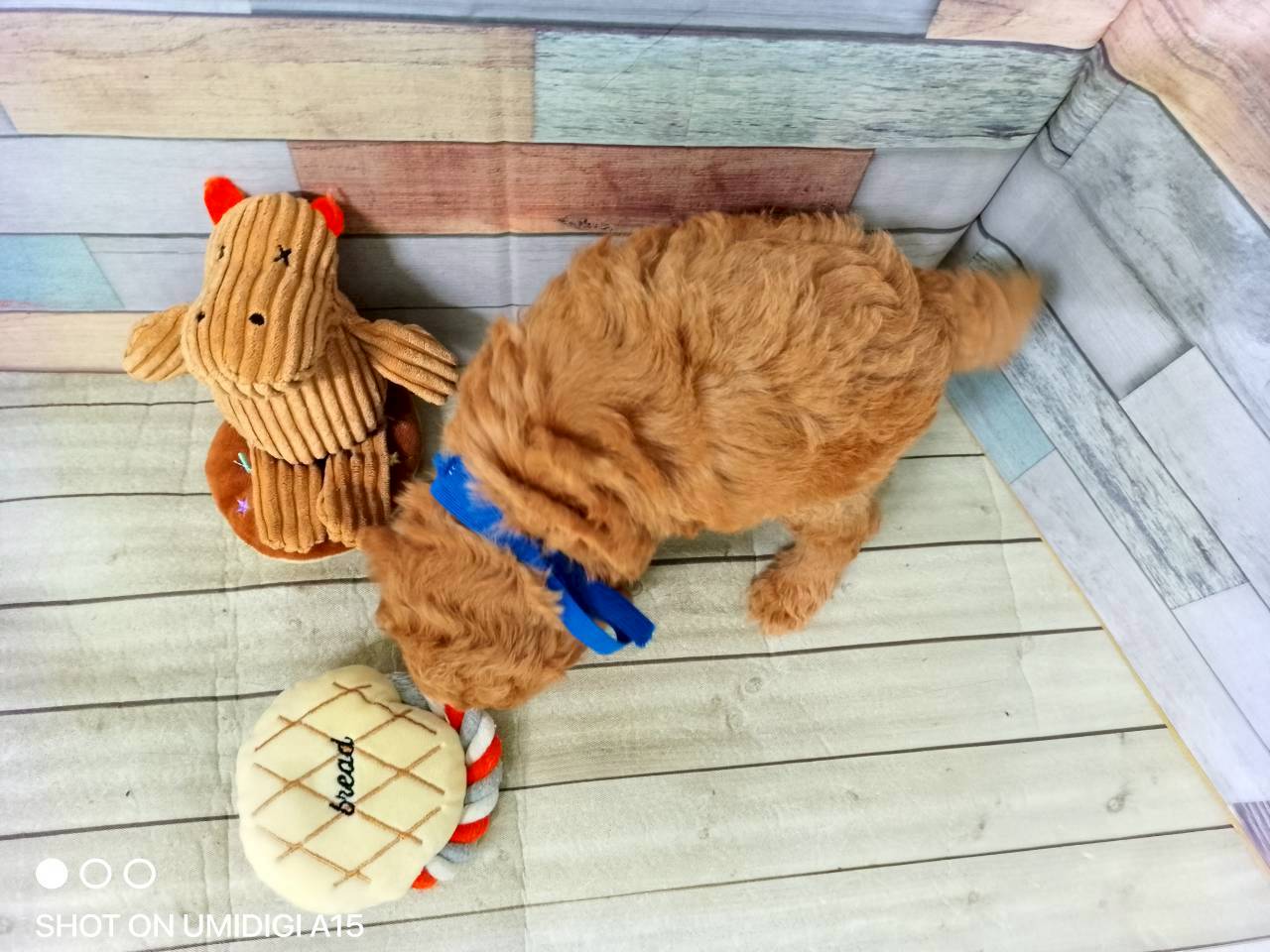 赤ちゃん写真3-3