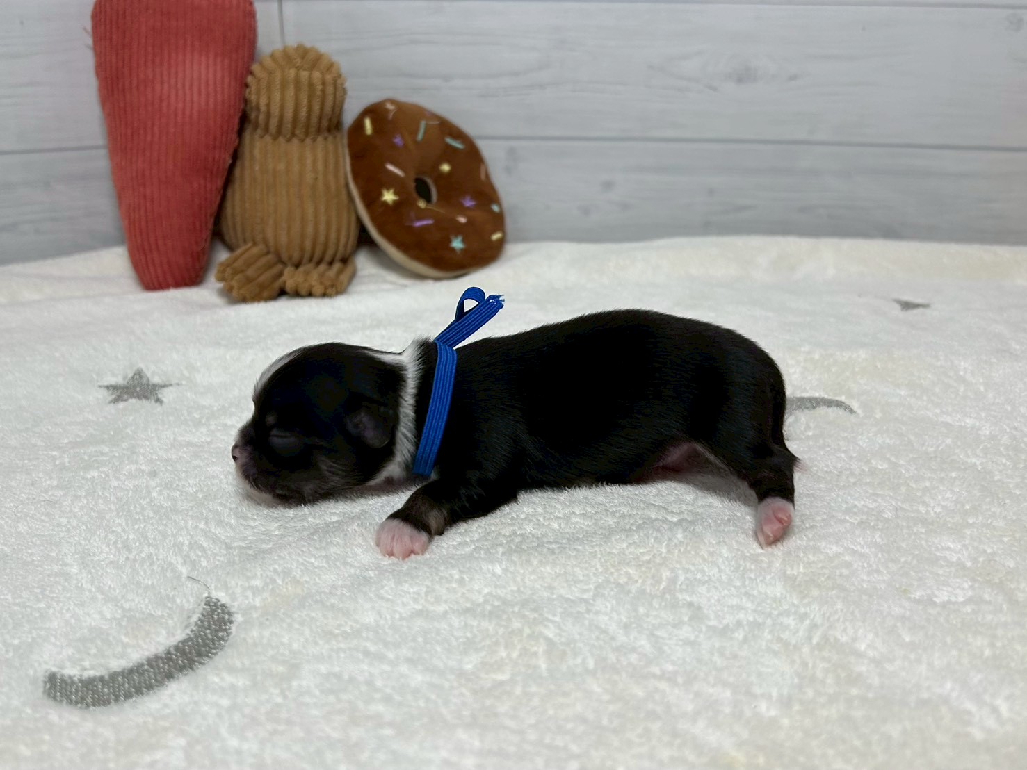 赤ちゃん写真1-2