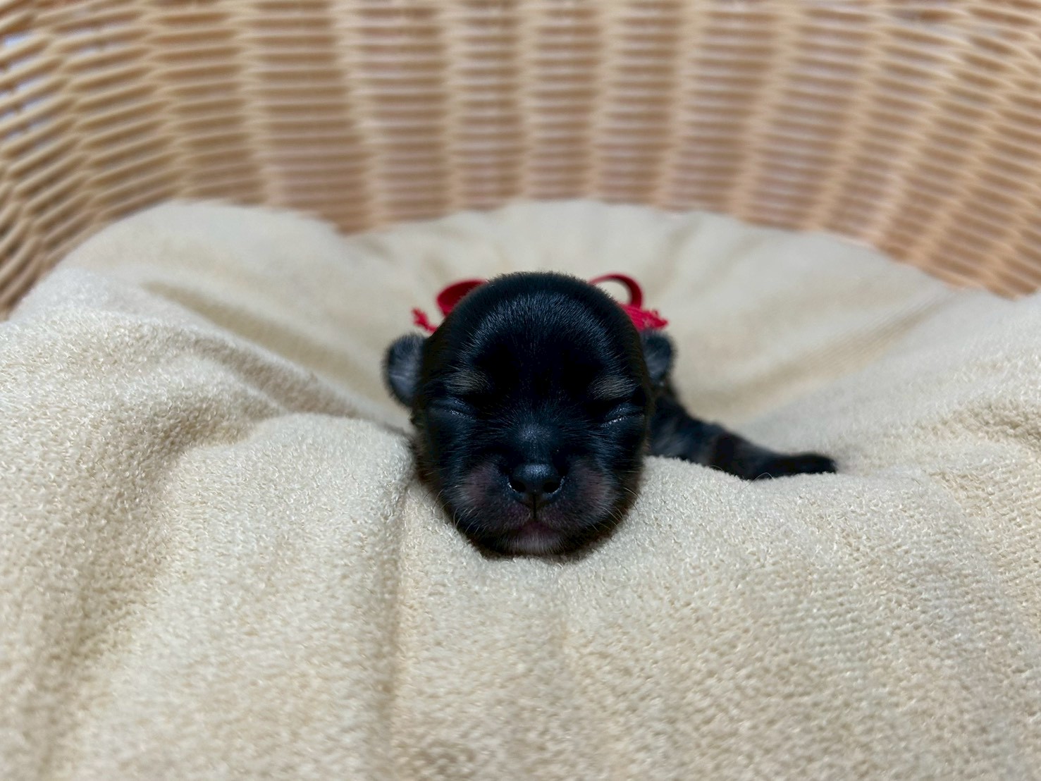 赤ちゃん写真1-1