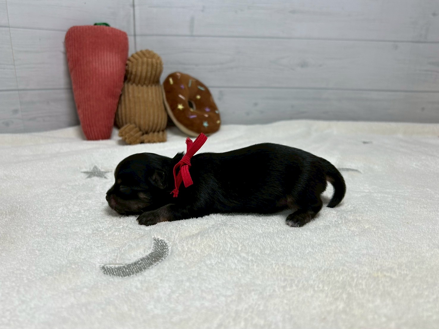 赤ちゃん写真1-2
