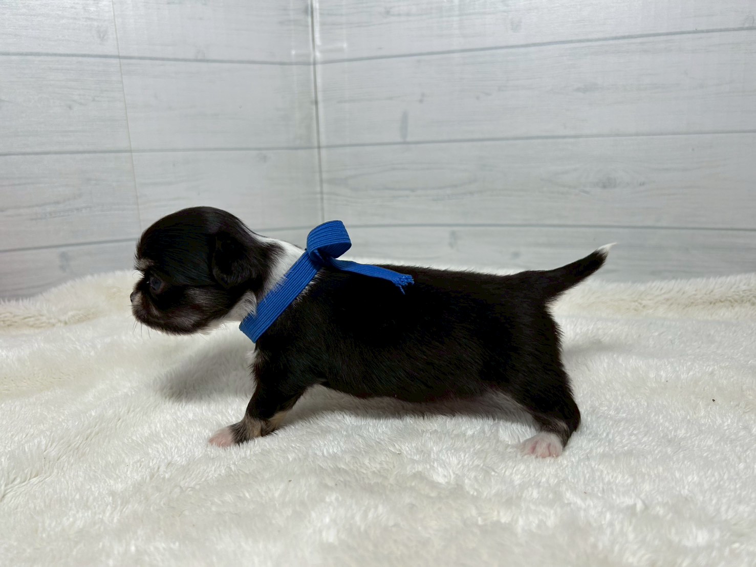 赤ちゃん写真2-2
