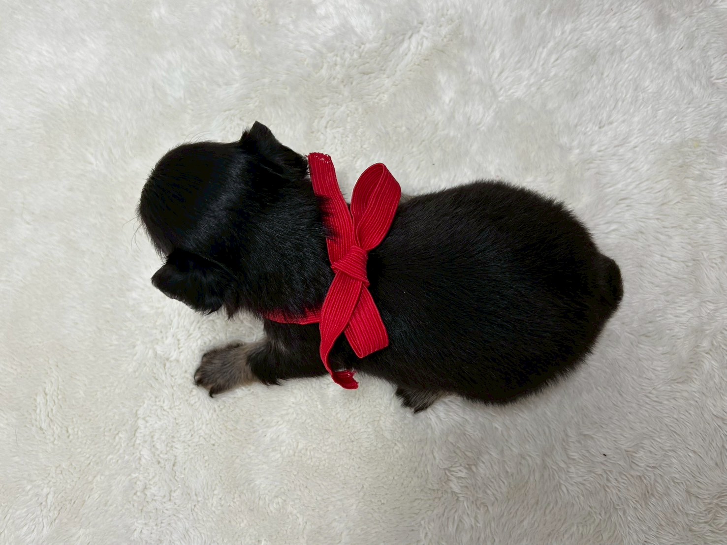 赤ちゃん写真2-3