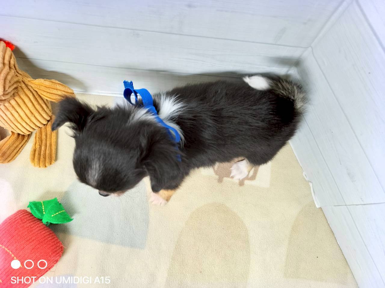 赤ちゃん写真3-3