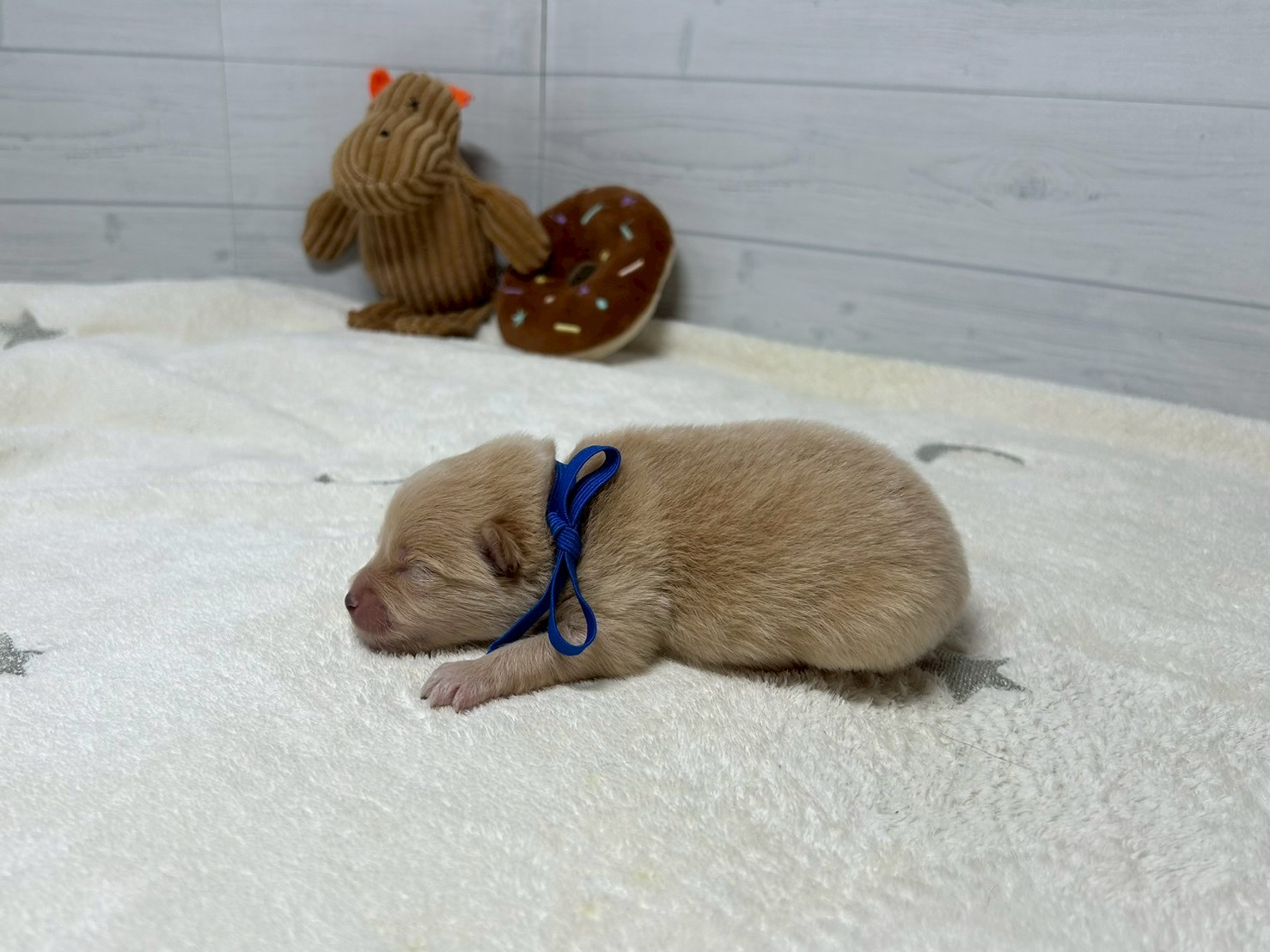 赤ちゃん写真1-2