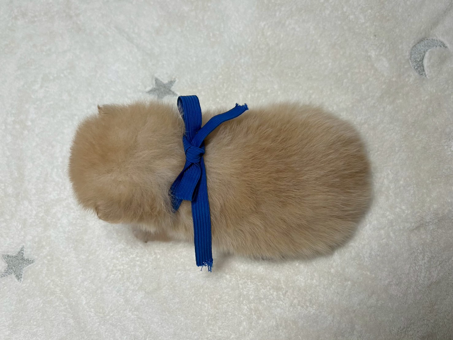 赤ちゃん写真2-3