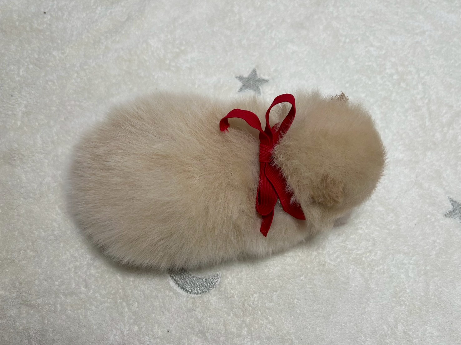 赤ちゃん写真2-3