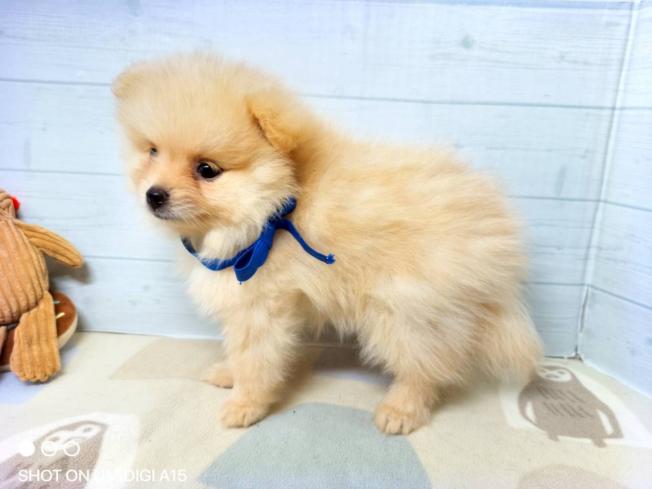 赤ちゃん写真3-2