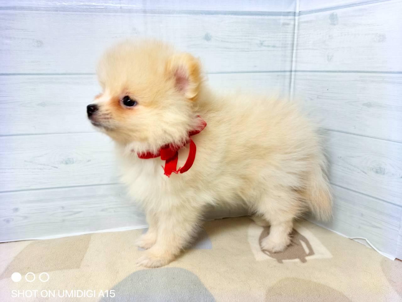 赤ちゃん写真3-2