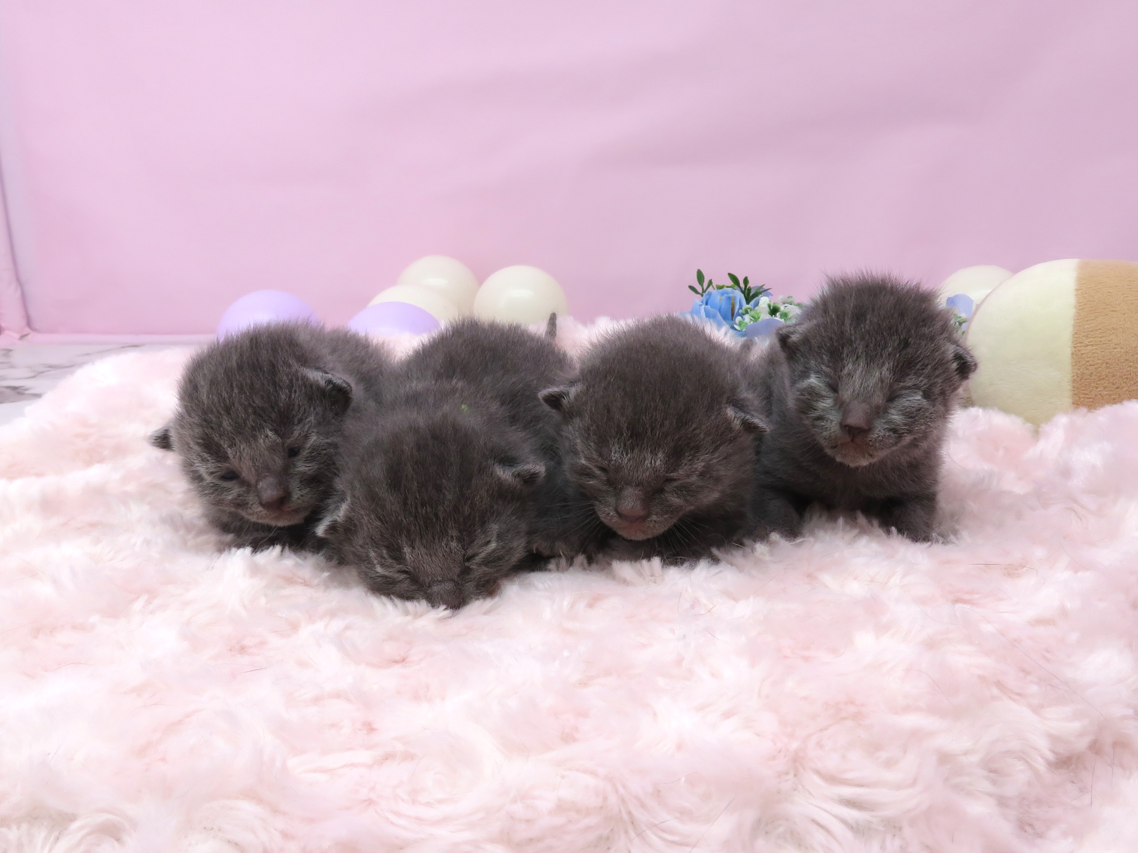 赤ちゃん写真1-3