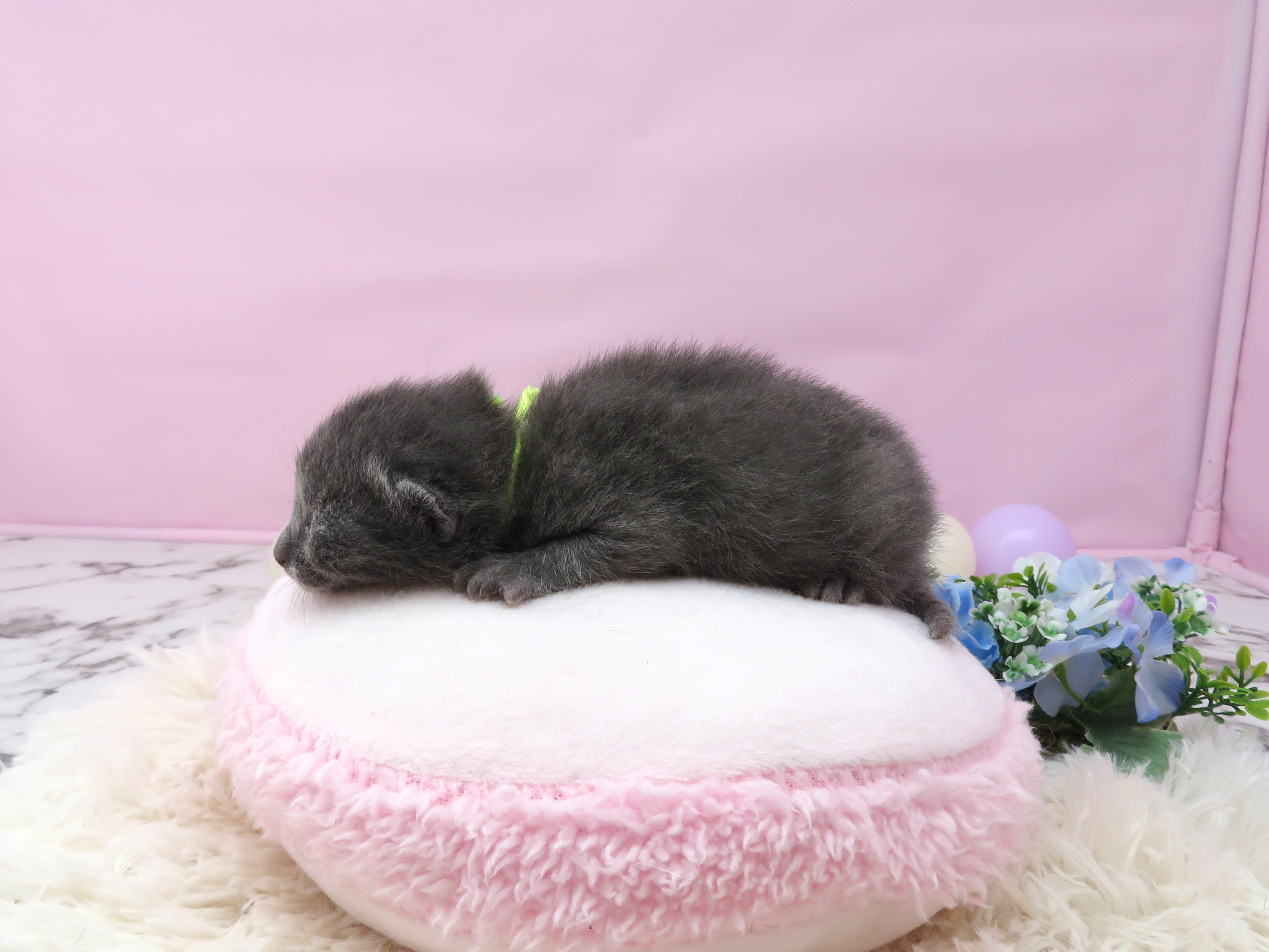 赤ちゃん写真1-2
