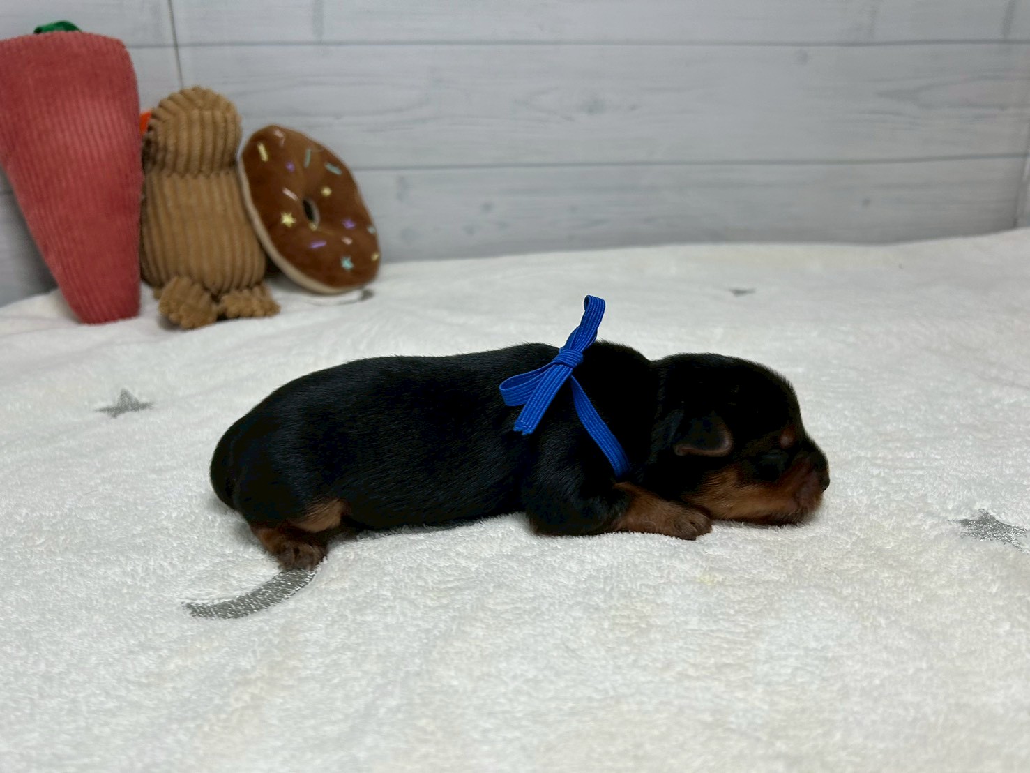 赤ちゃん写真1-2