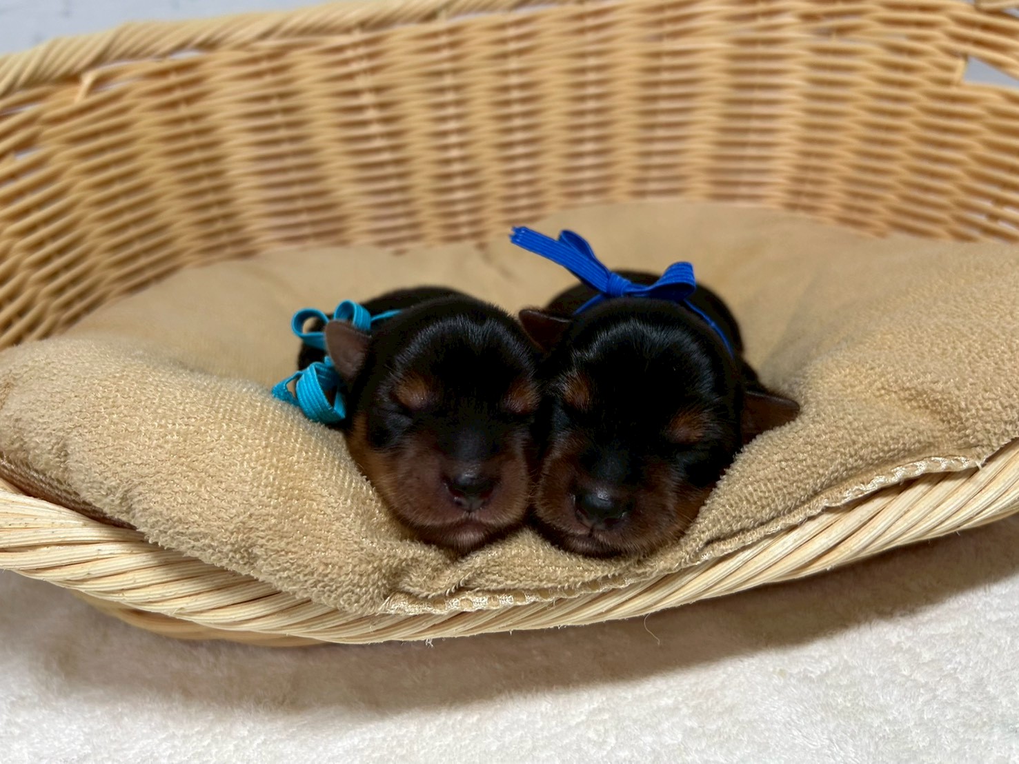 赤ちゃん写真1-3