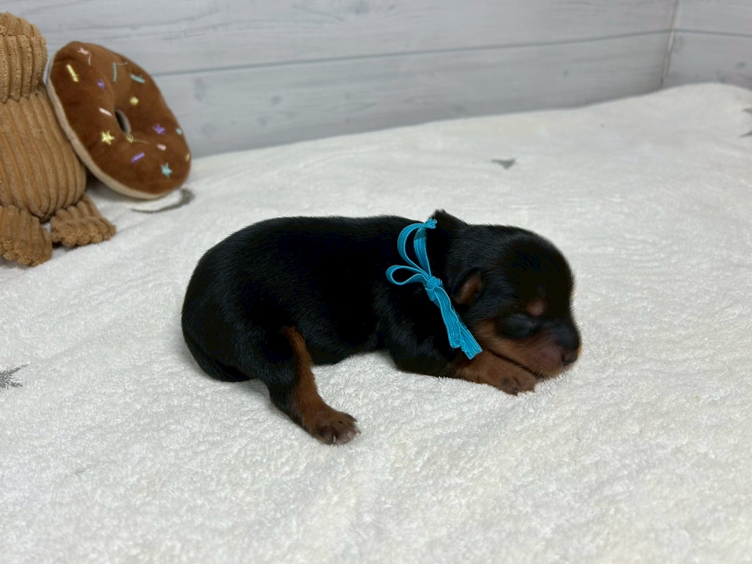 赤ちゃん写真1-2