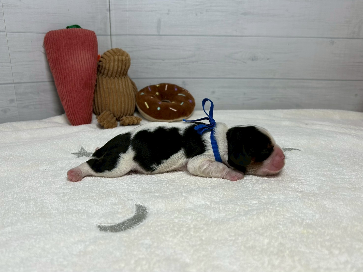 赤ちゃん写真1-2