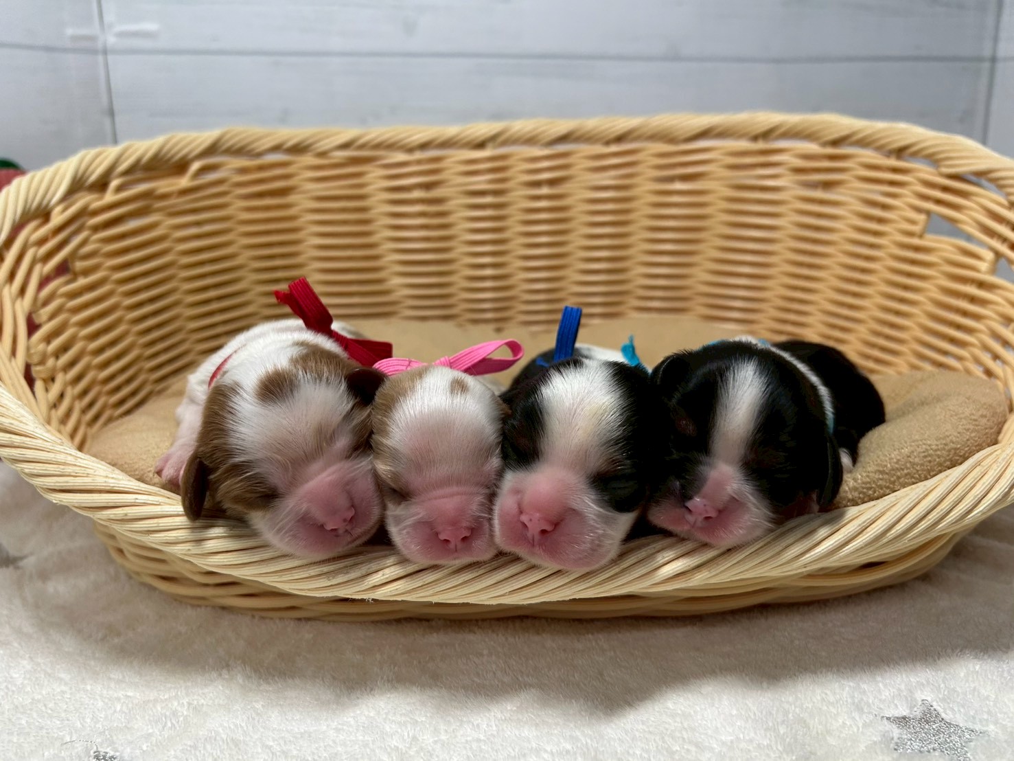 赤ちゃん写真1-3