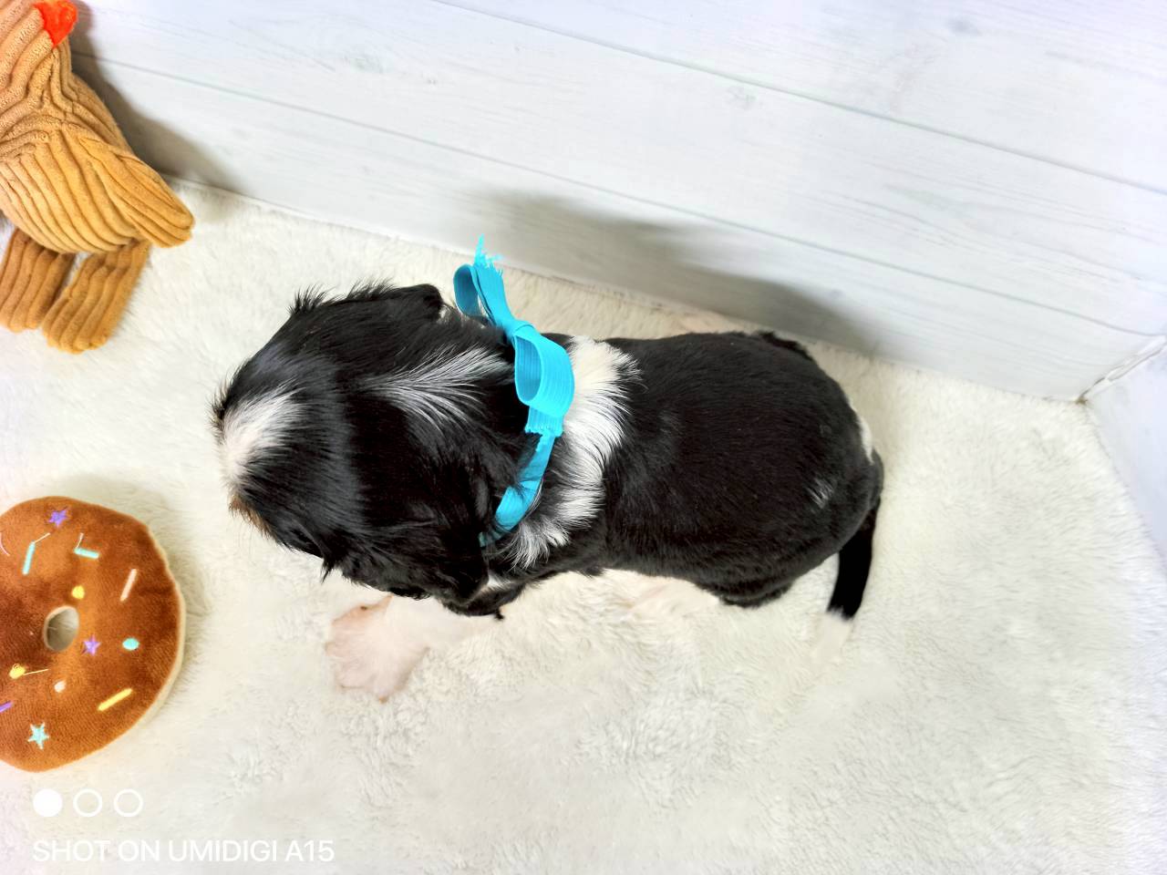 赤ちゃん写真2-3