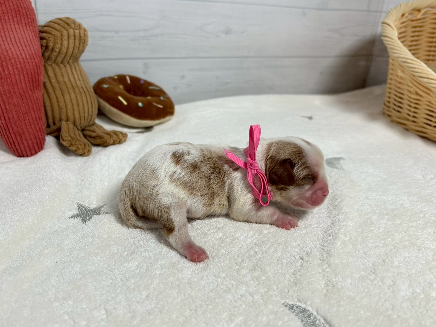 赤ちゃん写真1-2