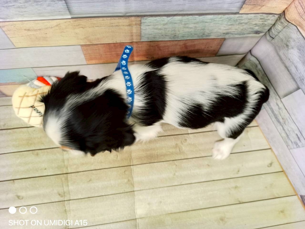 赤ちゃん写真3-3