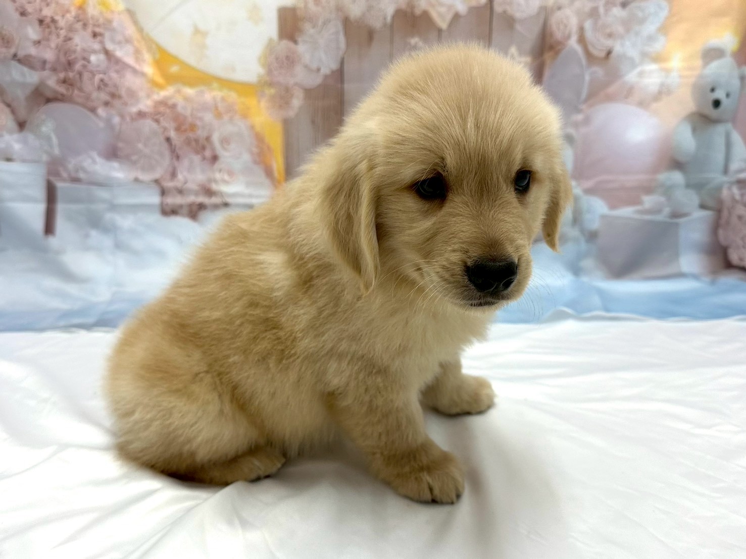 赤ちゃん写真3-2