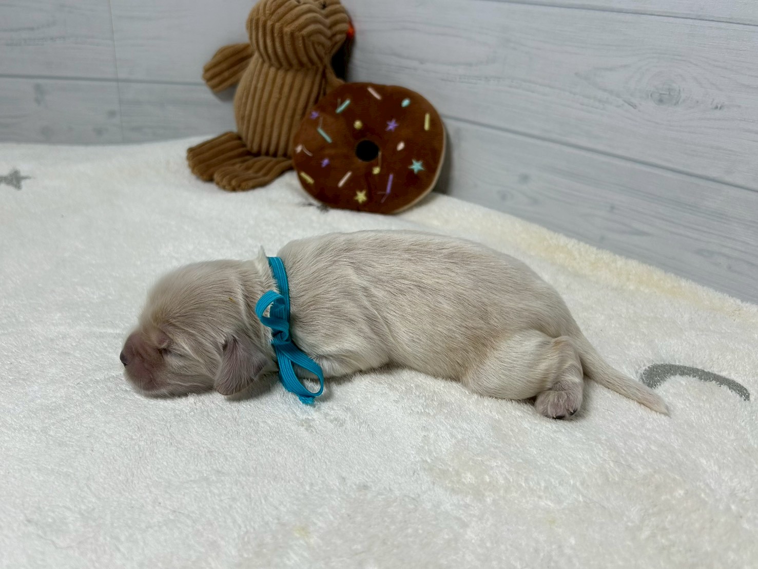 赤ちゃん写真1-2