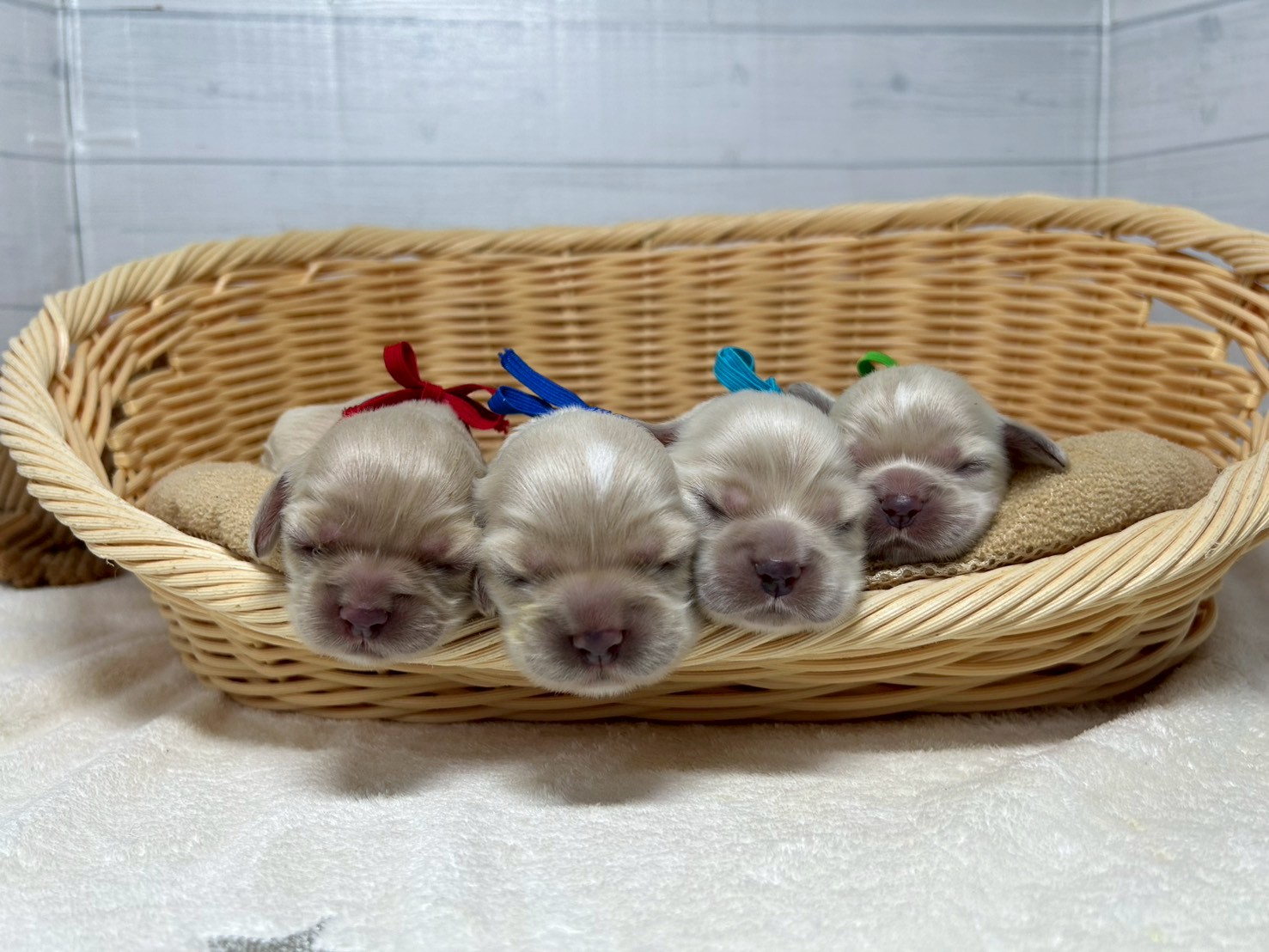 赤ちゃん写真1-3