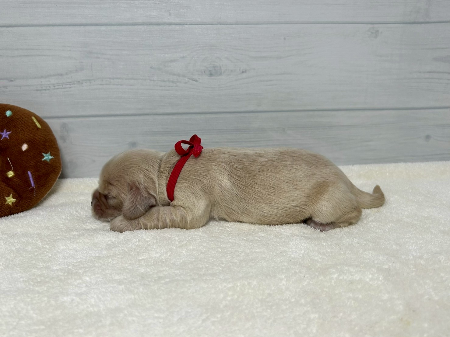 赤ちゃん写真1-2