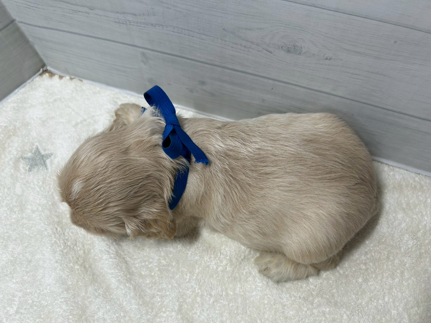 赤ちゃん写真2-3