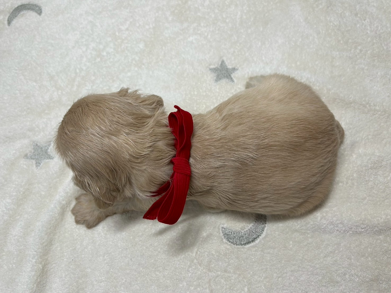 赤ちゃん写真2-3