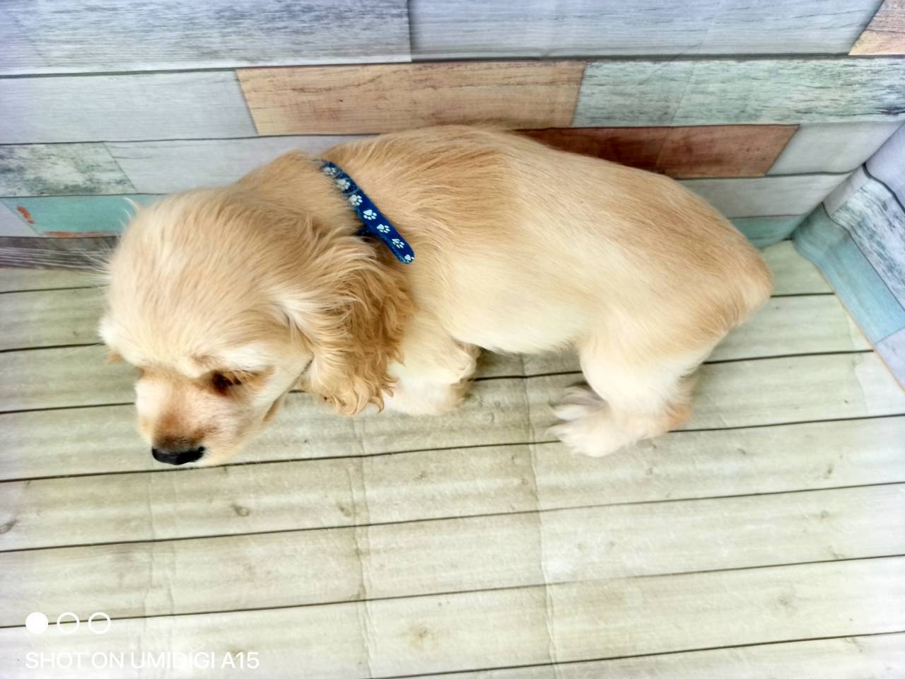 赤ちゃん写真3-3