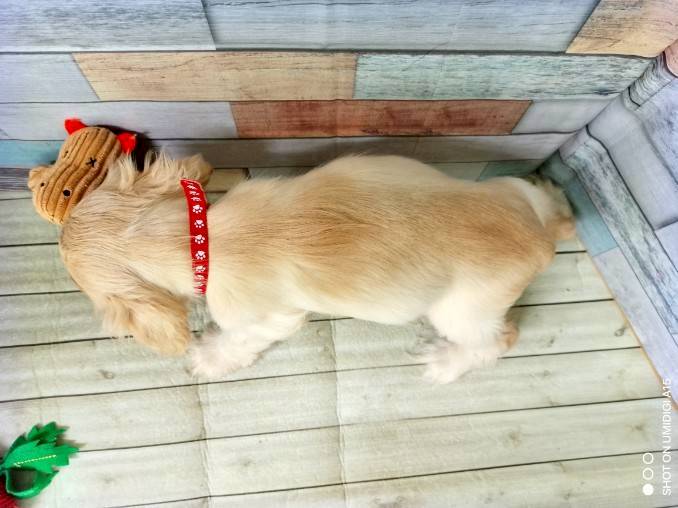 赤ちゃん写真3-3