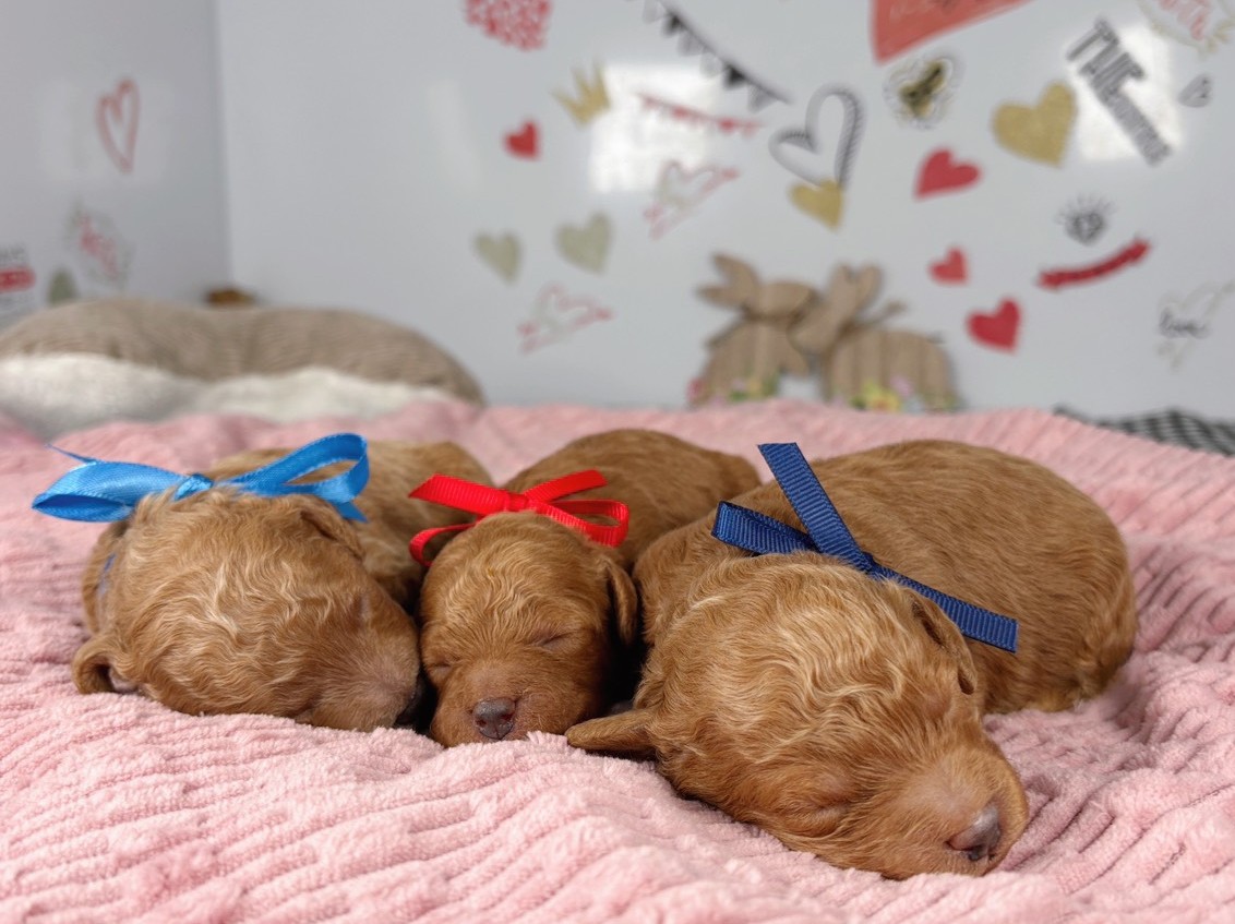 赤ちゃん写真1-3