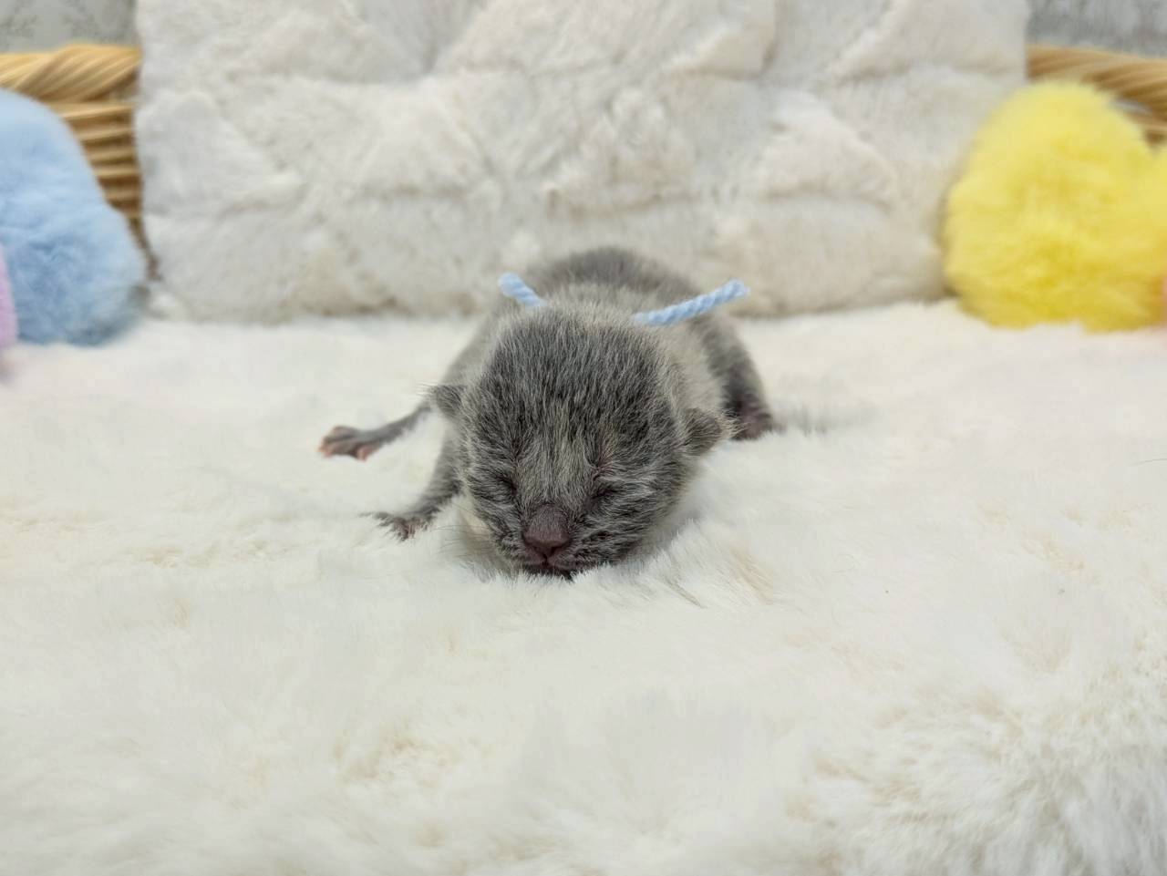 赤ちゃん写真1-1