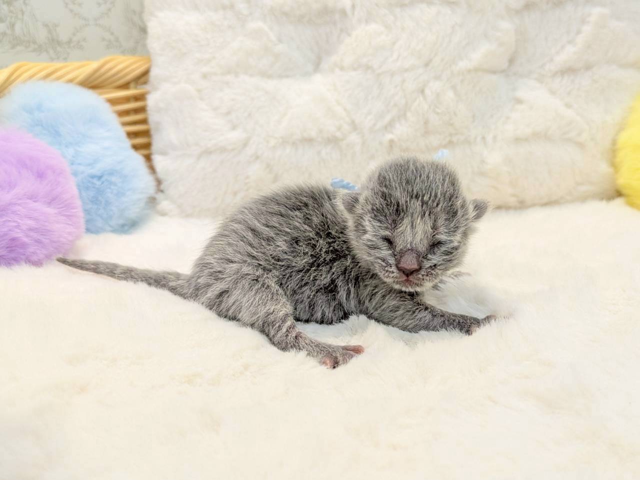 赤ちゃん写真1-2