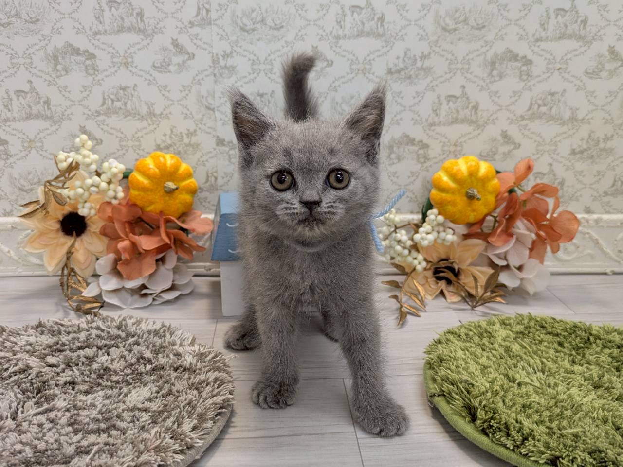 赤ちゃん写真2-1