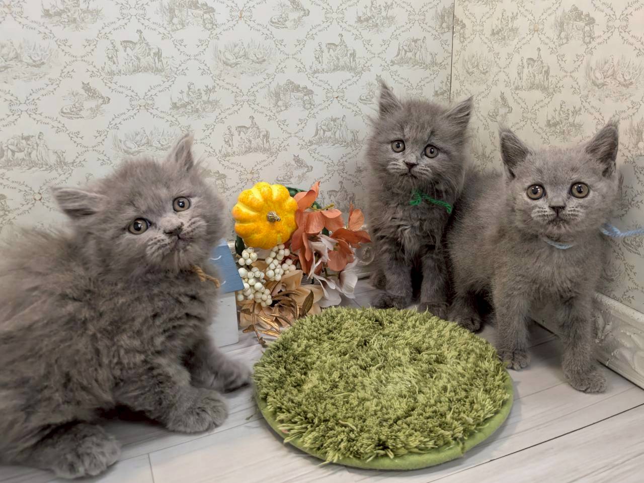 赤ちゃん写真2-3